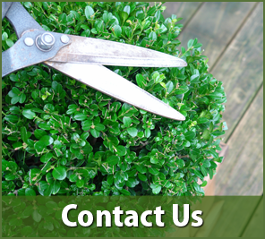 Hedge Trimming - Landscaping Services